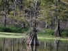 Anahuac Texas 