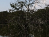 Anahuac Texas 