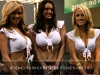 AVN Convention 2008