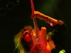 yngwie malmsteen